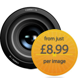 Packshots from DOM start at just 8.99 per photo
