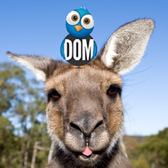 Qantas hashtag