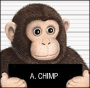Spam monkey